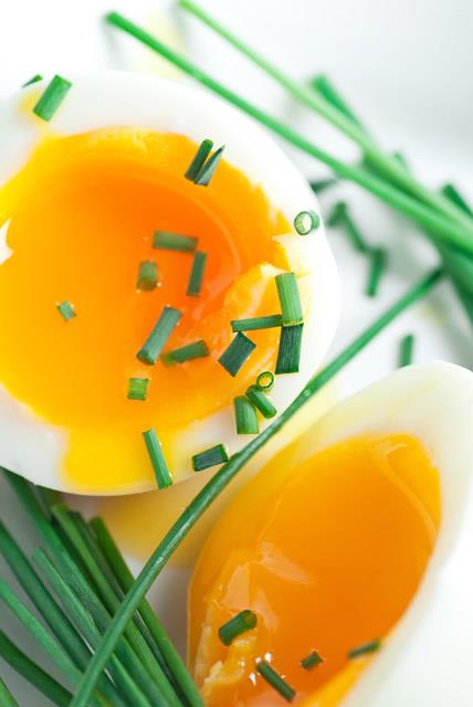 Sabahlar yumurta, gibi lsin amino asidince zengin protein tketen kiilerin, kahvaltlarnda karbonhidrata zengin bir diyetle beslenen kiilere kyasla iki kat daha fazla ya kaybettikleri yaplan aratrmalar sonucu belirlenmitir. Yumurta yiyerek kendinizi daha uzun sre tok hissedebilirsiniz.