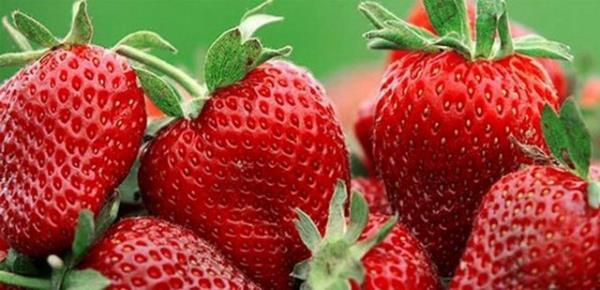 ilek, kiraz, vine: Bunlar antosiyanin zenginidir.