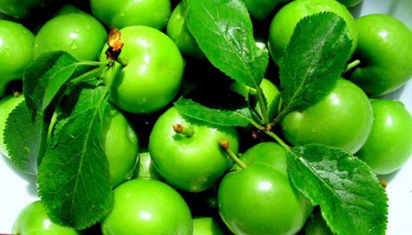 Erik: Yksek antioksidan kapasitesi yannda detoks yapc gcyle de nemli bir anti-aging besindir.