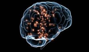 80 milyar hcreden oluan beyni ve 1000 ya da 3000 trilyon nronal sinaps (balanty) incelemek kolay deil elbette. yi bir ekip, pahal teknolojilerle donanm laboratuvarlar ve her trl gider iin trilyonlarca dolar destee gerek var.