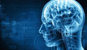 Yaklak 50 yl gibi ksa bir gemii olan &#8220;nroteknoloji&#8221;nin son 10 yl ierisinde beyin ve sinir sistemi zerinde yapt aratrmalar ve elde ettii bulular gerekten inanmakta glk ekilecek stnlkte ve gzellikte.