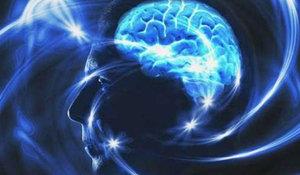 lke yneticilerinin devlet gvenliini koruma amacyla insanlarn dncelerine mdahale etmesi, insanlarn beynine kadar girmeyi hak olarak kendinde grmesi kabul edilemez. Bu, kesinlikle insan haklarna ve dnce zgrlne tecavzdr.