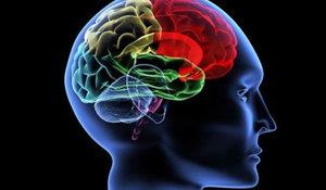 Bu yazy okuyan sizlerin, benim, bilimden haberi olan olmayan herkesin kafasndan zaman zaman (zellikle ajite olduu anlarda) agresif dnceler gemitir mutlaka. &#8220;Hayr ben hi yle dnmem&#8221; diyorsanz...  saatlerinde Ankara ya da stanbul trafiinde ara kullann ve ka kiiyi boazlamak istediinizi bir gzden geirin isterseniz.