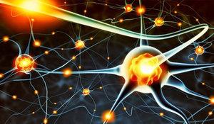 Peki, dnce okuma teknolojisi gnmzde o derece geliti mi? Yant: ok uzun sre deil, 1-2 yl sonra tam kapasiteyle kullanma girebilecek duruma getirilecek. En azndan Veritas Scientific adl irketin yneticisi Eric Elbot, bunun garantisini veriyor. Peki, lke ynetimleri bu teknolojiyi gvenlik iin kullanmallar m? ahsi yantm: Kesinlikle hayr!