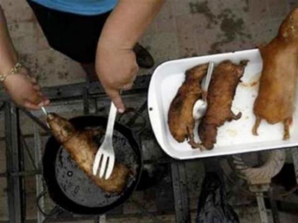 Fare baz lkelerin balca protein kaynadr ve genelde tavada kzartlarak yenmektedir. Her lkenin bu tatla tanmas farkl olmutur. Mesela Roma mparatoluu zamannda sadece lezzetli olduu iin yenen fareler, Kuzey Kore&#8217;de ktlk balad zaman yenmeye balanmtr.