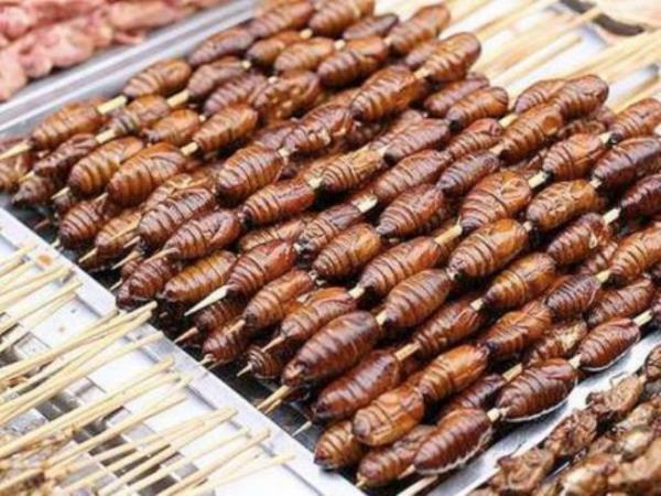 pek Bcei pek bcei zellikle Kore&#8217;de ok sk tketilen bir hayvandr. lk olarak lm ve rmeye balam yavru larvalardan yaplan yemek, imdilerde canl erkek larvalar kullanlarak yaplyor. Larvalar ie geirilip olduu gibi kzartlabiliyor veya tamamen ezilip bulama haline getiriliyor ve kfte yuvarlanp ya da kzartlyor.