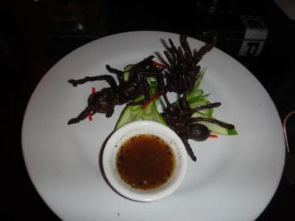 rmcek yeme dncesi bile insan irendirmeye yetiyorken, baz insanlar afiyetle bu hayvanlar tketiyorlar. zellikle Kamboya&#8217;da yol kenarlarndaki tezgahlarda bile satlmaktadr. Kamboya&#8217;da arabanzla giderken ackrsanz, hemen yol stnde birka rmcek attrabilirsiniz