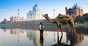 Hindistan    <br>  Bangalore : 0,24 Dolar