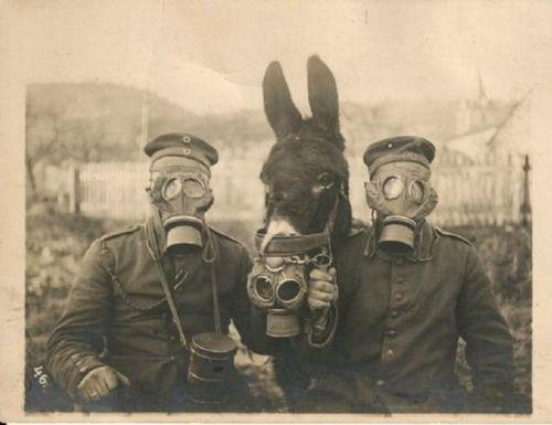 Kimyasal gazlar ile kr olacak olsa da yaayacak bir katr, Alman askerleriyle poz veriyor, I. Dnya Sava, 1916