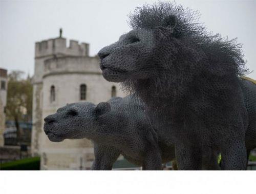 Aslanlar (Lions) - Londra, ngiltere