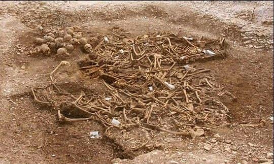 910 yılından kalma olduğu düşünülen, katledilen 54 Viking askerinin kemikleri