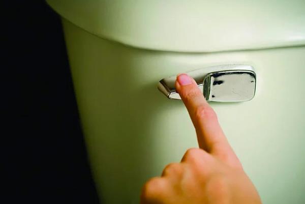 17. svire  <br>nsana "Tuvalete nasl gireceim" dedirten kanuna gre, apartmanda oturanlarn gece saat 10'dan sonra sifonu ekmeleri bir su..