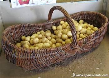 Neredeyse yok olma snrna gelen bu patatesin kilosu 5 bin euro&#8217;yu buluyor.