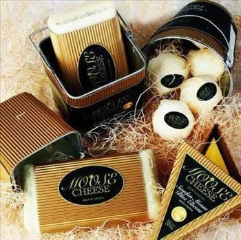 Bir geyii samak 2 saat srerken, her geyikten gnde bir galon st elde edilebiliyor. retilen peynirlerin ya ve protein oran yzde 12.