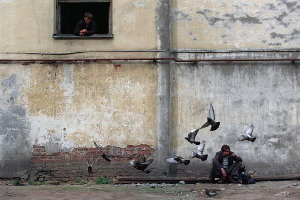 Gvercinleri Besleyen Adam