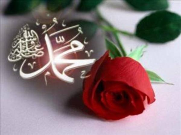 nsann akl kemale 40 yanda girer