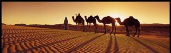 Deccal'in dnyada kalma sresi 40 gndr