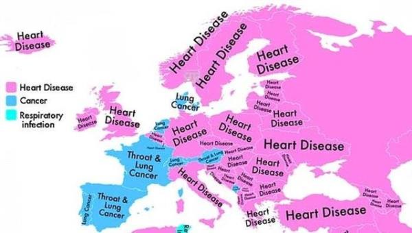 Rusya, Trkiye ve Ukrayna gibi Dou Avrupa lkelerinde insanlar en ok kalp hastalklardan lyor. Bunu yannda skandinav lkeleri ve Orta Avrupa lkelerinde en fazla lme neden olan hastalklarn yine kalp hastalklar olduu grlyor.