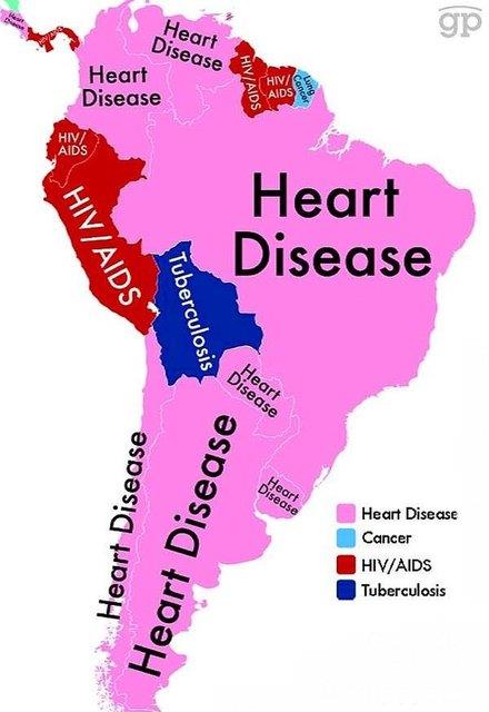 Brezilya, Arjantin, ili, Paraguay, Uruguay, Kolombiya gibi lkelerde en ok lme sebebiyet veren neden kalp hastalklar. Bunu yannda Peru, Ekvador ve Surinam'da en fazla can AIDS alyor. Bolivya'da ise Tberkloz en fazla hayata mal oluyor.