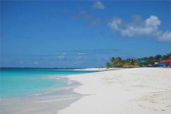 Shoal Krfezi Anguilla, Karayipler