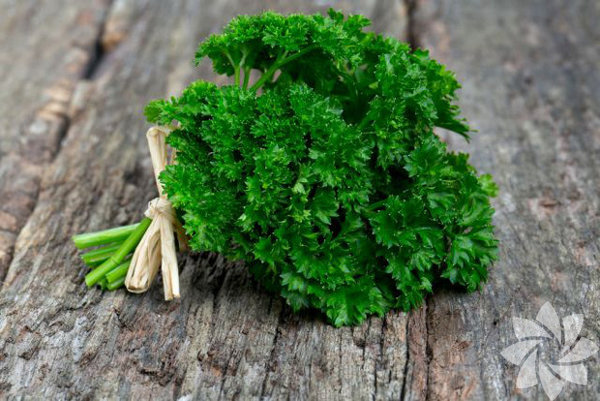 <p><b>Maydanoz ay</b></p>  <p>Maydanoz ay kilo verdirmiyor ancak vcutta biriken su fazlasnn atlmasna yardmc oluyor.</p>