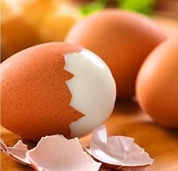 Uzun sre halanan yumurta uzun zamanda tlecei iin vcudun harcad enerji miktar yumurtadan daha fazladr. Halanm yumurta bu yzden ok iyi bir diyet yemeidir.