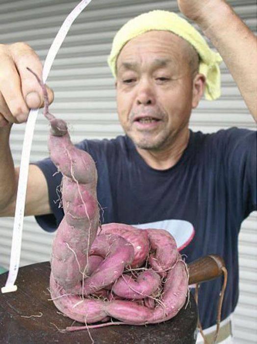 Meydana gelen lmlerin hi biri bu nkleer erimeye balanmamt fakat santrale yakn yeralt suyunda yksek miktarda radyasyon saptanmt.