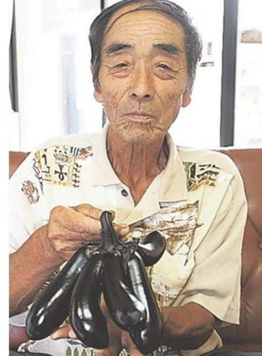 Kore'de bir internet sitesinde bu grntler yaynland. Fakat fotorafn ne zaman ekildii ve rnlerin tam olarak nerede yetitirildii belli deil. Fukuima felaketini sulamak iin fotoraflarn grntleri de deitirilmi olunabilir deniliyor.