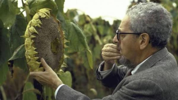 13. Talk show srasnda lm  <br>  Jerome Irving Rodale salkl yiyecek konusunda bir uzmand. Organik tarmda bir ncyd. Organik tarm ve bahecilik konusunda bir dergi ve gazete karyordu. Byk bir vnle en az 100 yana yaayacan sylerdi. Rodale 1971`de Dick Cavett Show`da bir rportaj srasnda kalp krizi geirip ld. Show srasnda uyuduunu sanan sunucu hatta aka yaparak skldnz m diye sormutu. ldnde 72 yandayd. Bu rportaj hi yaynlanmad.