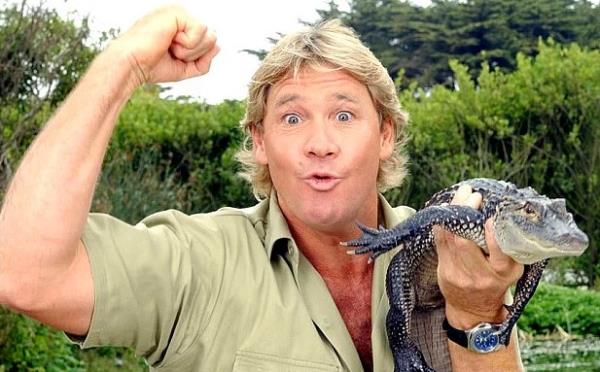 26. Timsah avcsnn lm<br>    2006 da Avustralyal vahi yaam uzman ve TV programcs Steve "Timsah avcs" Irwin kalbine saplanan bir vatoz bal inesi sonucu ld.