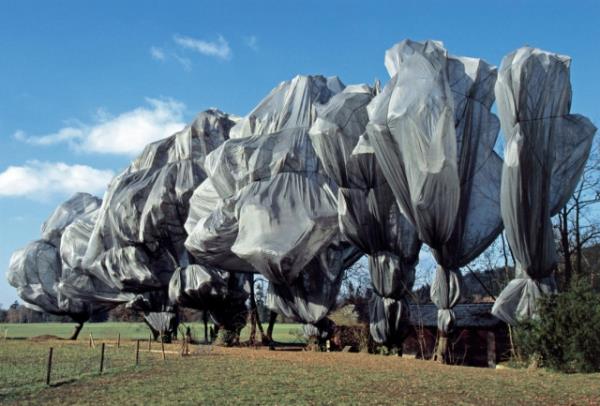 23. Byk emsiye yznden lm  <br>  1991 ylnda artist Christo ve Jeanne-Claude bir instalasyonlarnda binlerce byk emsiye kullandlar. Bu emsiyeler sar ve mavi renklerdeydi. Bu byk emsiyeler 6 metre yksekliinde ve 8.7 metre geniliindeydi. ki ay hazrlktan sonra instalasyon sergilenmeye baland. Sergiyi gezen yal bayan, kan bir rzgar yznden stne den emsiyenin altnda kalarak ld.