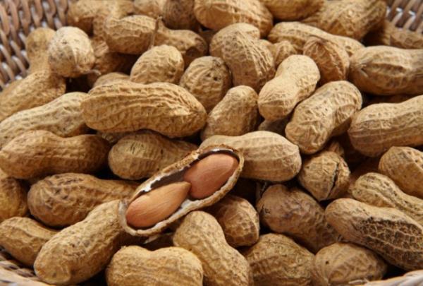 Yerfst: 1 avu yerfstnda 2.3 mg E vitamini bulunur ve bu miktar gnlk ihtiyacn %12&#8217;sine denk gelmektedir.