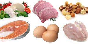 KURTULU REETES...  <br>  Proteinin en nemli gda olduunu unutma