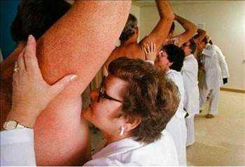 Bir eyi kokladnzda o eye ait molekller burun eperinize yapr