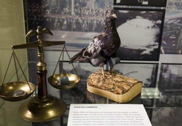 Gvercinlere balanan kameralar zamannda, havadan grnt almann en etkili yntemlerinden biriymi.