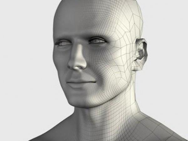 Deriniz, en byk organnzdr. Yetikin bir erkein derisi esnetilirse 1.8 metrekare alan kaplar.