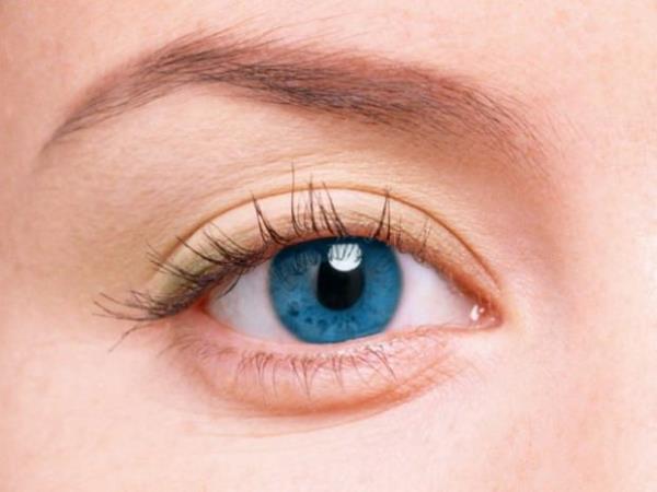 Gz kaslarnz gnde 100 bin kez kaslr. (Bu miktar, bacak kaslarnzn 80 km yol yrrken yaad kaslmaya edeerdir.)