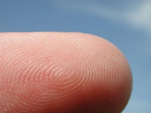 Parmaklarmz o kadar duyarldr ki, dnyay kaplayacak kadar geni bir elimiz olsayd, bir ev ile otomobile dokunduumuzda parmaklarmz ikisinin ne olduunu ayrabilirdi