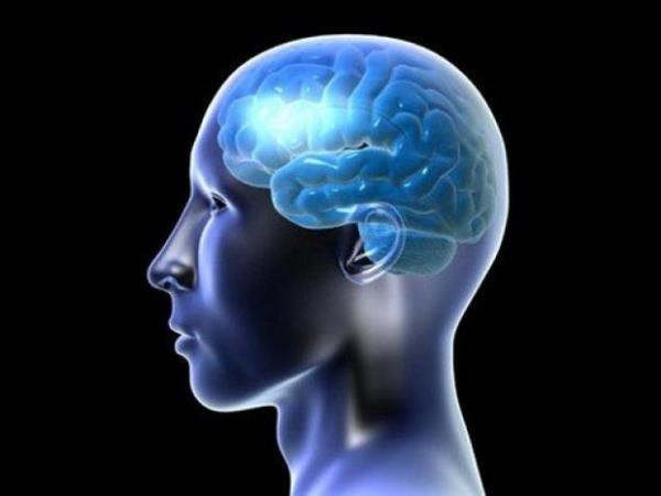 nsan beyni dakikada 1000 kelime okuyabiliyor.