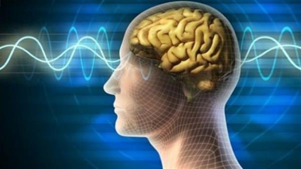 nsan beyni bir bilgisayar olsayd saniyede 38 katrilyon ilem yapabilirdi. Dnn ki dnyann en gl bilgisayar olan BlueGene bu rakamn ancak binde ikisini yapabiliyor!