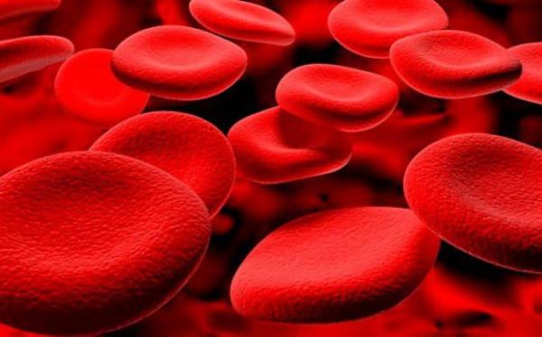 Baz kadnlar pek ok insana gre daha dnyay daha renkli grrler. Pek ok insanda  tip renk alcs varken, baz kadnlarda bu say 4 ila 5 olabiliyor.