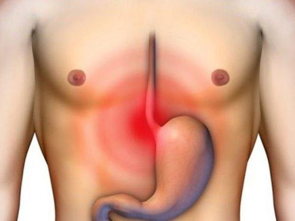 Mideniz neden kendini sindiremez? Bunun sebebi mide hcrelerinin yapmnn imhasndan daha ksa srmesidir.