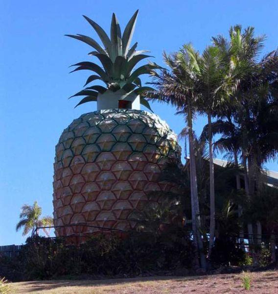 Grenleri hayret ierisinde brakan ilgin tasarml yaplar...