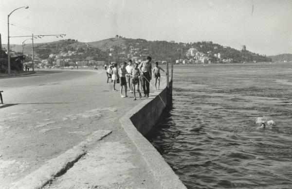 Arnavutky (1960'l yllar)