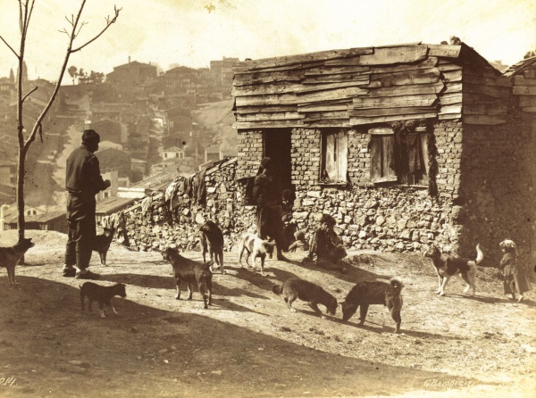 Bir zamanlarn Tatavla&#8217;s / Kurtulu         <br>Bugnk ad ile Kurtulu&#8217;ta eskiden ok sayda ahrn bulunmas sebebi ile buraya Tatavla (Rumca &#8220;at ahrlar&#8221;) ismi verildi. Semt bu ad Cumhuriyet sonras tamaya devam etmi. Ancak Byk Tatavla Yangn&#8217;ndan sonra semtin byk bir blm kl oldu. Daha sonra ise ismi Kurtulu olarak deitirildi.    Levent&#8217;te olduu gibi Tatavla&#8217;y da Tatavla yapan yine denizcilerdi. Kanuni Sultan Sleyman dneminde Barbaros Hayrettin Paa&#8217;nn gemi yapm iin Sakz&#8217;dan getirttii 10 bini akn Rum bu blgeye yerletirildi. Daha sonralar blgeye Ermeni, Yahudi ve ngilizlerin de tanmas ile semt olduka kozmopolit bir hal almaya balad. Ancak tarihteki trajik &#8220;6-7 Eyll Olaylar&#8221; sonrasnda, Kurtulu&#8217;ta kimlik erozyonu yaand ve semt eski zengin kozmopolit yapsn kaybetti.             Copyright 2013TM GALERLER