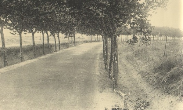 Usuz bostan diyar / Maslak      <br>smini Bykdere&#8217;deki bentlerden getirilen suyun datm ve denetiminin yapld yer olmasndan dolay alan Maslak&#8217;n, &#8220;eskiden buralar dutluktu&#8221; tabirine en ok yakan semt olduunu syleyebiliriz.    Zira buras saydmz dier semtlerden farkl olarak ok daha sszd ve gelimeye ok daha ge bir dnemde balad. Ancak buna ramen ok hzl bir ekilde gelien semt bugn stanbul&#8217;un Manhattan&#8217; olarak grlyor.