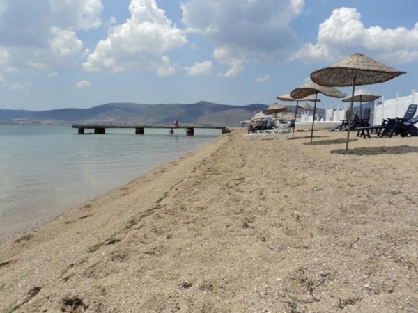 zmir urla kampndan fotoraflar 1