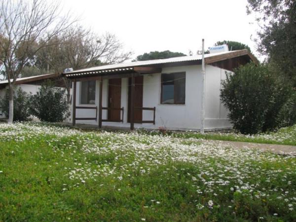 zmir urla kampndan fotoraflar 2