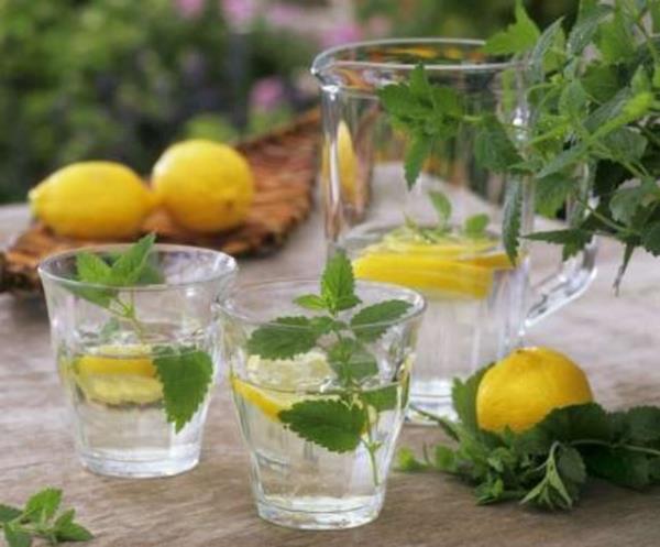 MEYVELERN BLNMEYEN FAYDALARI<br>  Meyve ve sebzelerin ok salkl olduu herkes tarafndan bilinir. fakat hangi meyve neye iyi geliyor, biliyor musunuz?