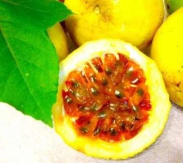 Passiflorann ekirdeklerini, tamamn i meyve olarak yiyebilirsiniz. Meyve suyu, kokteyl, tatl, dondurma, ve meyve salatalarnda kullanabilir, ho koku ve tat vermesi asndan yemeklerinizin yannda garnitr olarak da tketebilirsiniz.